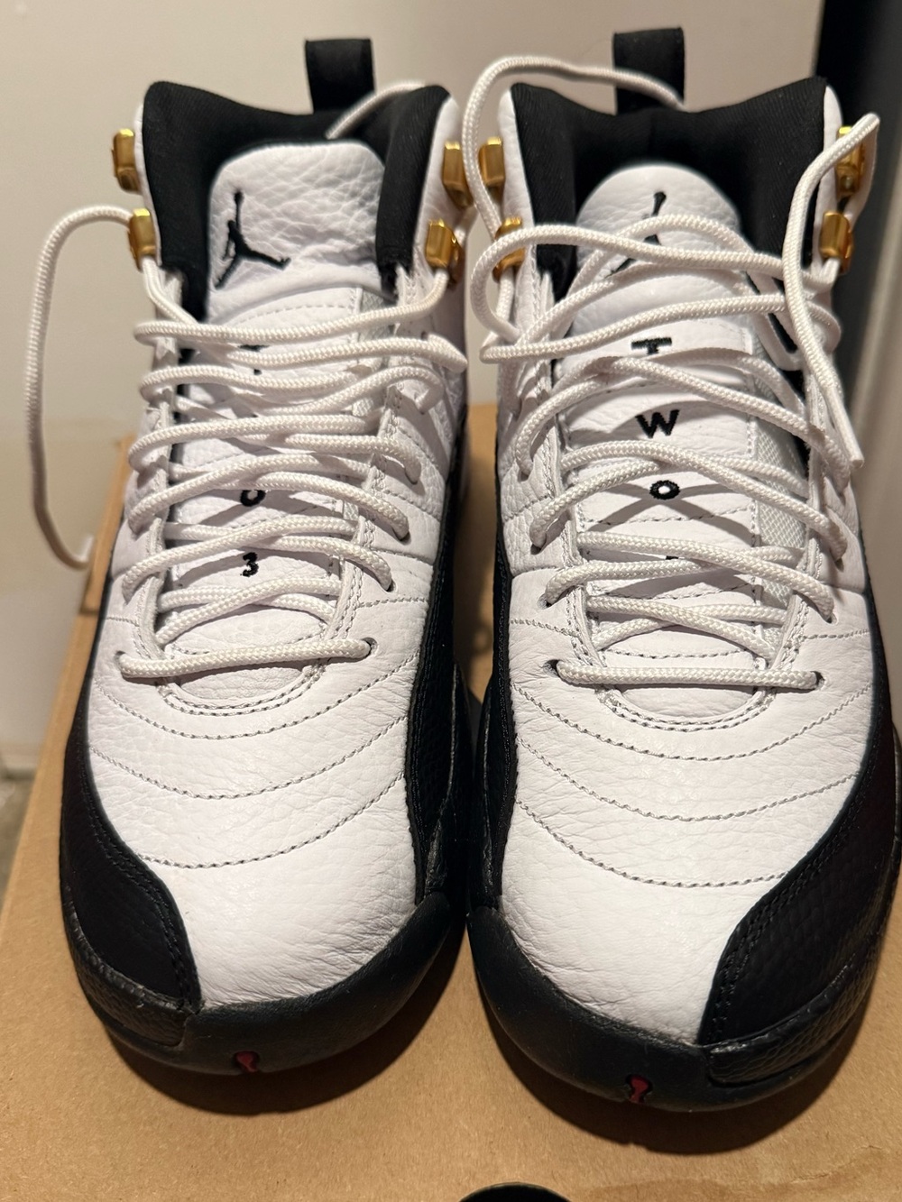 Jordan 12 Taxis GS (2025)